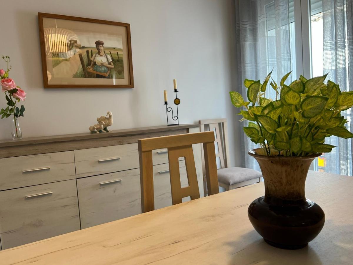קורדובה Apartamento La Pelota De Loren מראה חיצוני תמונה